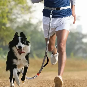 Correa retráctil para perros manos libres para correr, correa de juez, suministros para mascotas para perros grandes - AliExpress 15