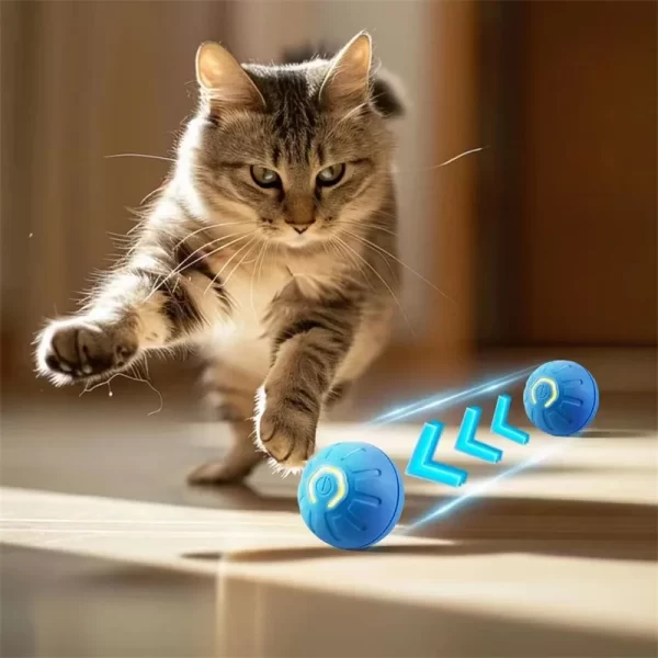 Pelota de juguete inteligente para perros, juguete interactivo electrónico para mascotas, pelota móvil USB, rebote automático para cachorros, regalo de cumpleaños, productos para gatos - AliExpress 15 - Image 3