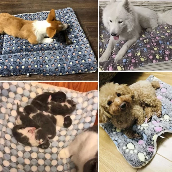 Alfombrilla de franela para dormir para mascotas, cama para perros y gatos, sofá para cachorros, colchón encantador, cojín para perros pequeños y grandes, manta para perros, suministros para mascotas - AliExpress 15 - Image 4