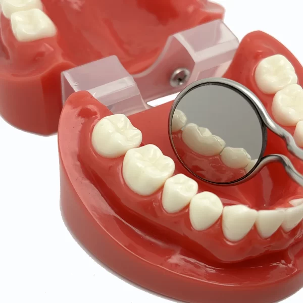 Espejo bucal Dental con mango, antiniebla, rodio, espejos bucales de doble cara, reflectores, reutilización, mango de espejo Oral - AliExpress - Image 5